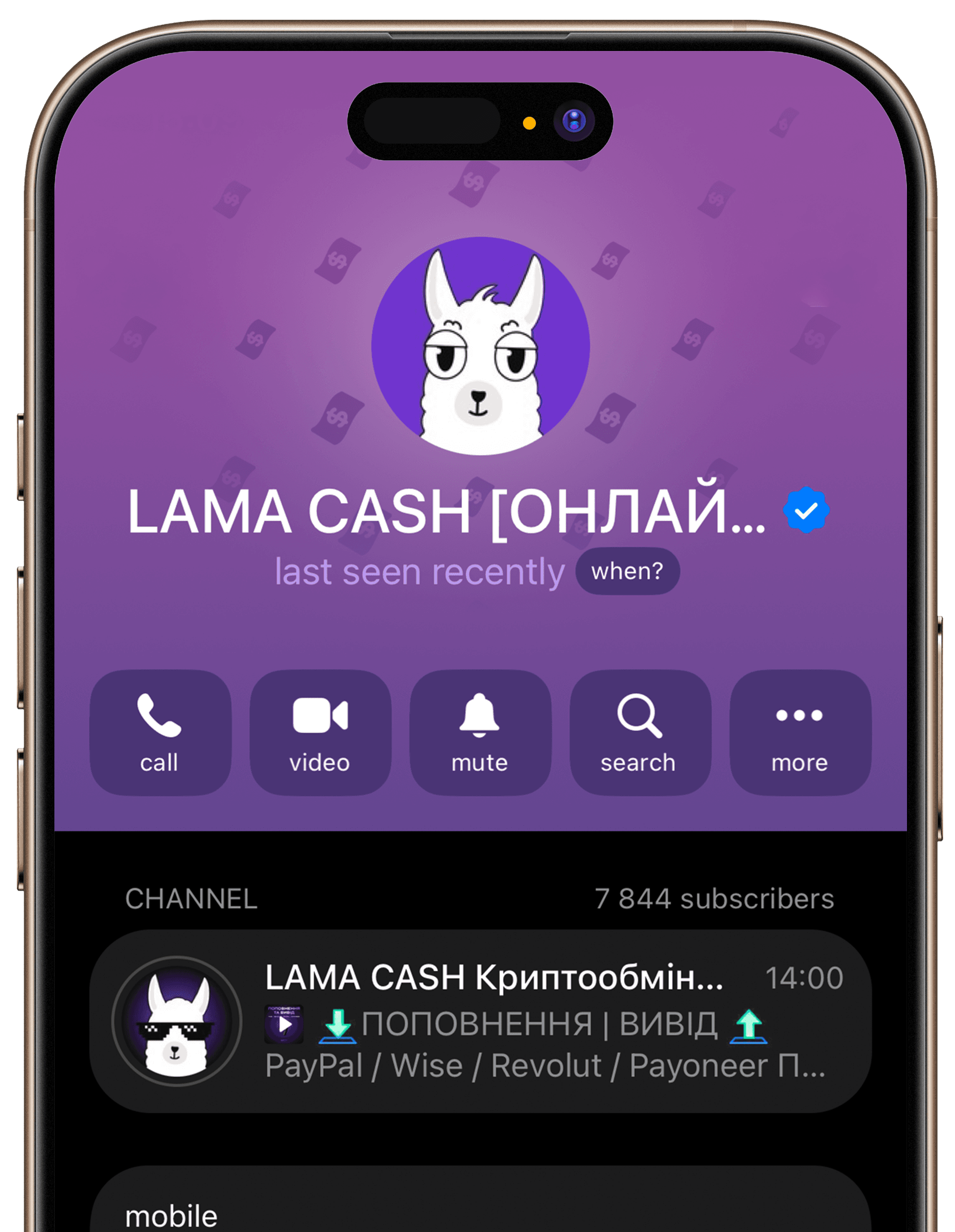 lama cash footer telegram link