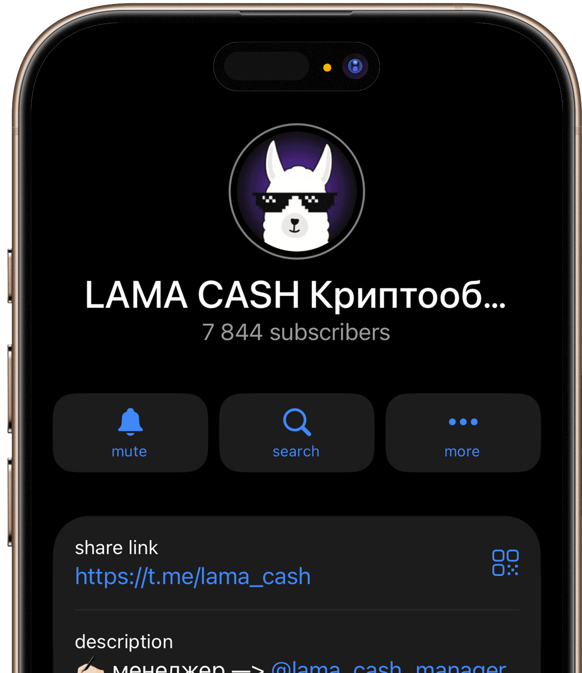 lama cash social media - telegram