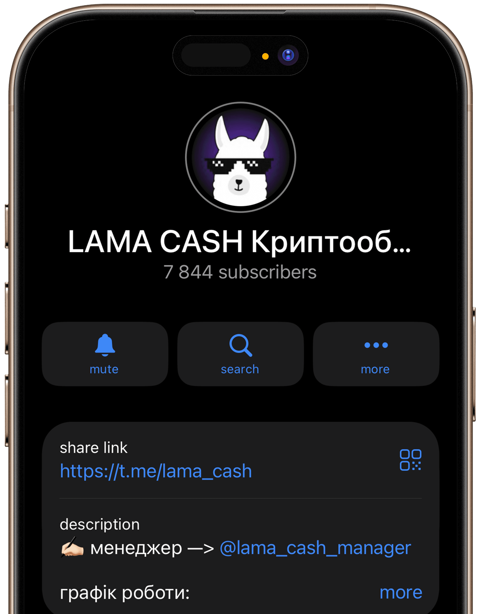 lama cash footer telegram link